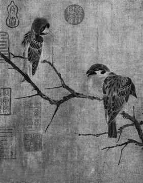 黑白－鳥(niǎo)1_副本_副本