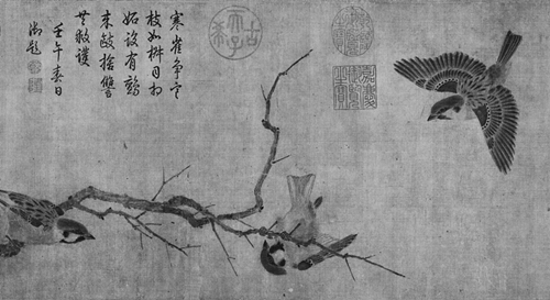 黑白－鳥(niǎo)3_副本_副本